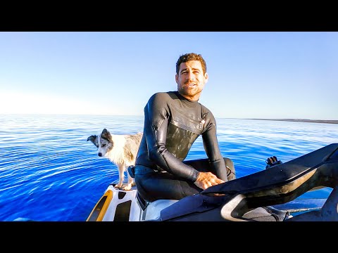 Solo Living From The Ocean Eating What I Catch (New Bike & Amazing Whales) - Ep 229
