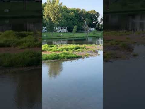 Video of the Lake