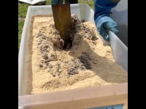 ワインを堆肥に注ぐことはできますか?どのようなメリットがありますか?  庭園