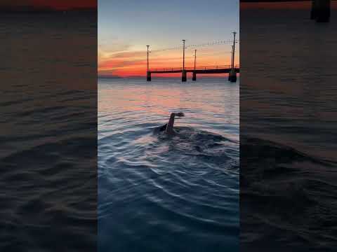 ILHA DE ITAPARICA BAHIA. Pôr do sol na praia do Forte