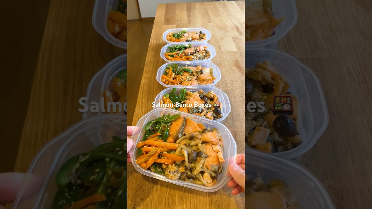 Miso Salmon Bento 🍱✨ #bento #bentorecipes #japanesecooking #mealprep #recipe