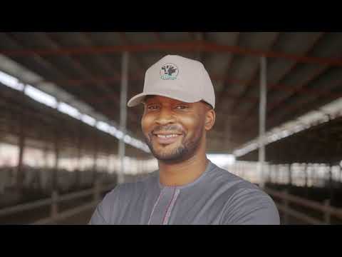 Sebore International Farms