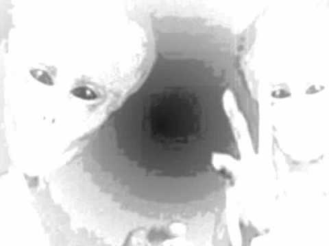 JustaBum & Lspook -Anchorman Drop