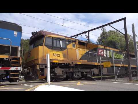 LDP003 / 6002 / LDP005 with Aurizon 4BM7 at Koolewong level crossing - 29/12/16