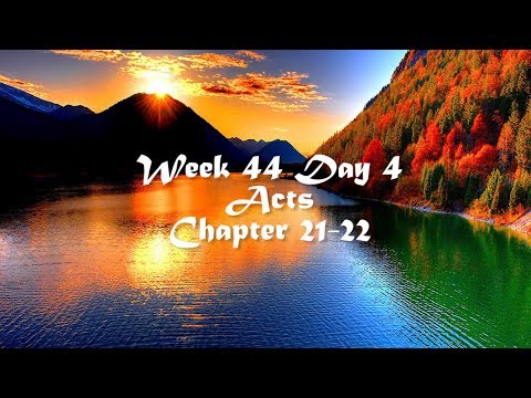 Audio Bible Reading Plan - Week 44 Day 4 (Acts 21-22)