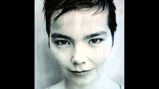 The Sugarcubes - Nail - Live @ Cabaret Metro, Chicago, Illinois USA, (08-11-1988)