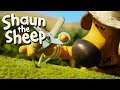 Spoilsport - Shaun the Sheep (Series 5)
