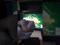 Shark Puppet React To Finding Nemo Live Action Remake Part 8 Meeting The Sharks