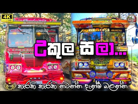 උකුල සලා 💖Ukula Sala (Tikiriliya 2) - Shehara Sandaruwan X Harshana K (Official Music Video)  #slbpo