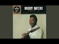 I Feel So Good - Muddy Waters - Topic I Feel So Good
