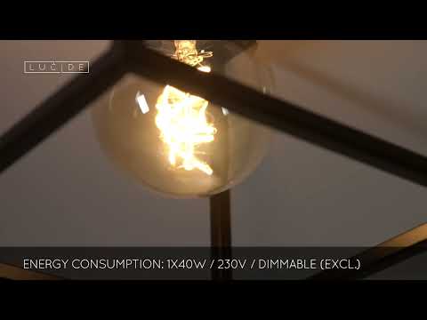 Lucide 00124/01/30 - Ceiling light RUBEN 1xE27/40W/230V