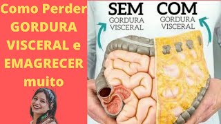 Como Perder GORDURA VISCERAL e EMAGRECER muito