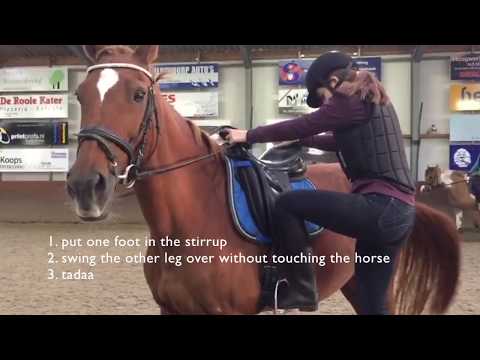 Horseriding Basics PHE Project