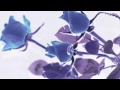 Rosemary (Nina Nastasia Cover)