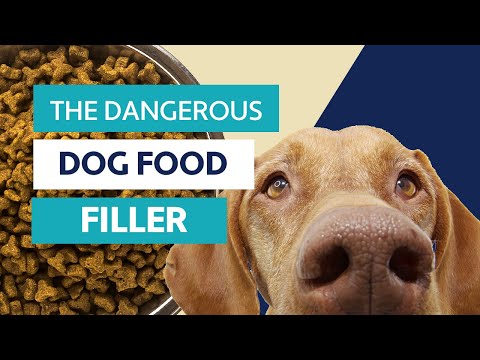 YouTube video about: Who makes duralife dog food?