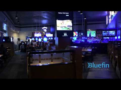 Bluefin Sushi Thai 3