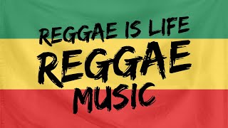 Paralamas do Sucesso feat. Djavan - Uma Brasileira ⚡ Reggae is life Reggae Music