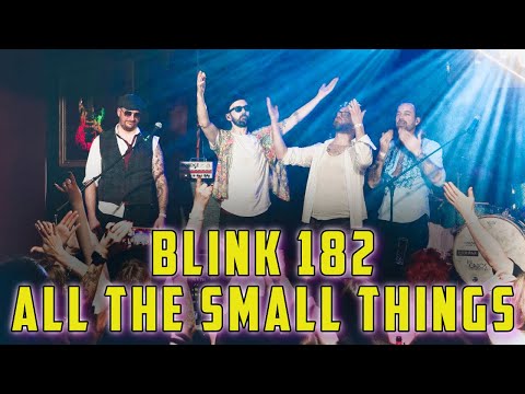 Blink 182 - All the small things Rock Cover Live by Die Hangovers