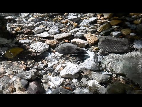 Gentle Water Sounds for Sleep and Relaxation - 10 Hours