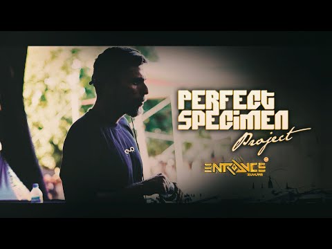 Perfect Specimen @ Entrance 2025 [Full Set Movie]