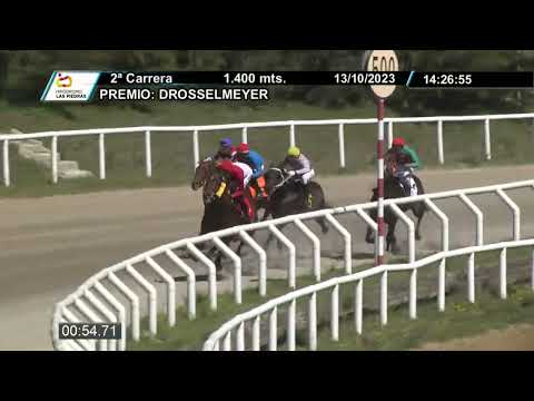 231013 c02 - MISTER - HIPODROMO LAS PIEDRAS