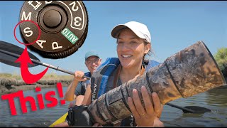 Wildlife Photography from a KAYAK! The best $200 you can spend