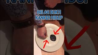 Download lagu This is proof that cancer is alive mp3