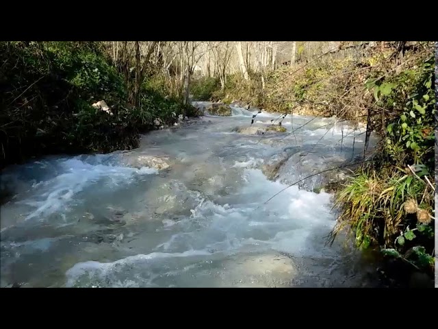 Torrente Maricella Licenza – video