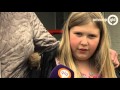 GLD VANDAAG 26 april 2016 - Omroep Gelderland
