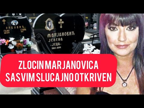 Šook! ZLOČIN MARJANOVIĆA SASVIM SLUČAJNO RAZOTKRIVEN Prijatelj mu je poslao poruku u kobnom trenutku