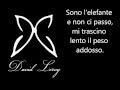 Michele Zarrillo - l'elefante e la farfalla (con ...