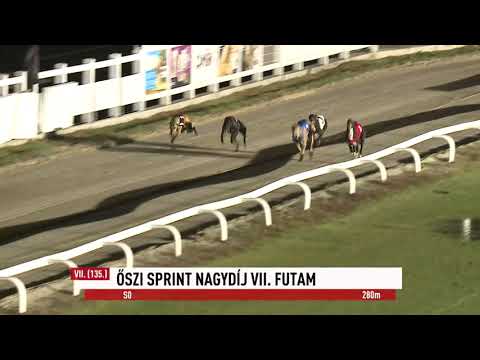 2023.10.27. 7. Futam - Őszi Sprint Nagydíj VII. futam - S0
