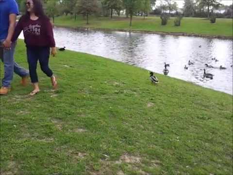 All of me - Bryan&Estefani 02182014