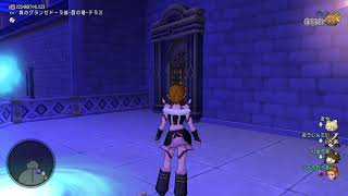 ドラゴンクエストXプレイ日誌#りゅうおうき他プレイ