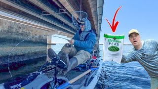 SECRET Bait (That's in your Pantry) Catches GIANT Sheephshead!