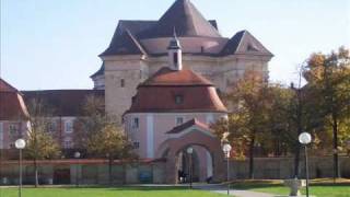 preview picture of video 'Ulm-Wiblingen - Basilika St  Martin - Vollgeläut'