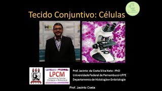 3-Tecido Conjuntivo: Células - Nível de graduação.