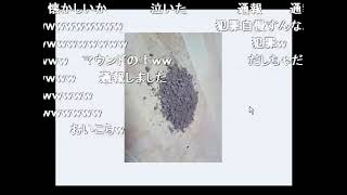 うんこちゃん『「懐かしい」と思えるような写真！』【2011/03/03】