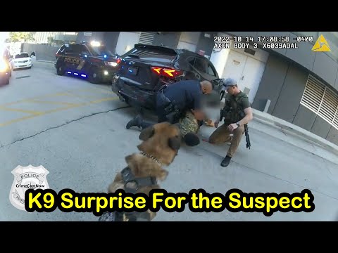 K9 Takes Down Murderer to End High Speed Police Chase