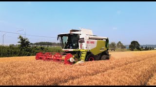 Wheat harvest 2021 Hokkaido part1