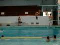 Samantha S Awesome Flip Off Diving Board