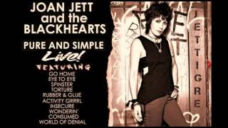 Joan Jett - Pure &amp; Simple tour 1994 (LIVE)