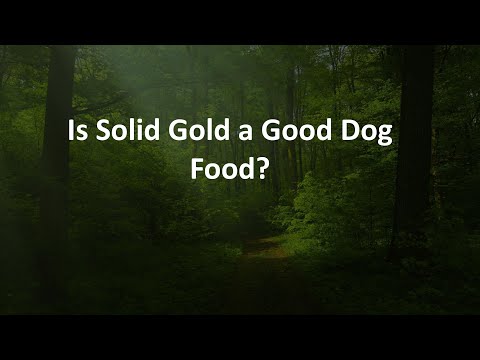 Is Solid Gold a Good Dog Food?