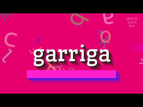 How to say "garriga"! (High Quality Voices)