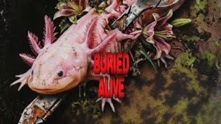 Download lagu Buried Alive.mp3 mp3