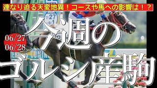 今週のゴールドシップ産駒 (06/27,28)【連なり迫る天変地異！コースや馬への影響は！？／コスモイシュタル,マイネルオラクルほか】
