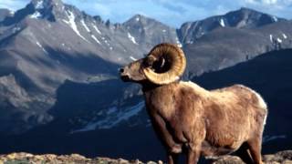 John Denver    ROCKY MOUNTAIN HIGH