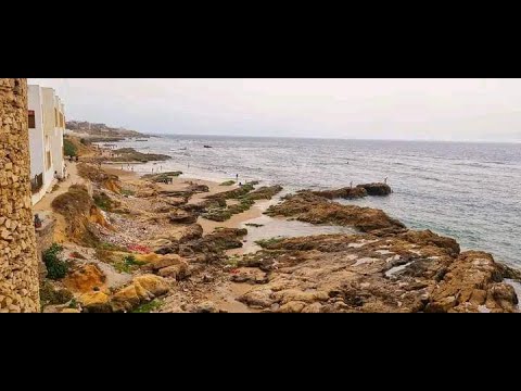 #Assilah 2022 أصيلة