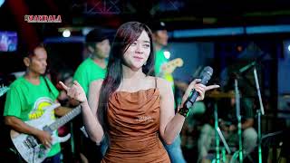 Download lagu BIRUNYA CINTA- TIARA AMORA - NEW MANDALA - WEDDING ' BAYU & NICHI 'TEGALWERO PUCAKWANGI PATI mp3