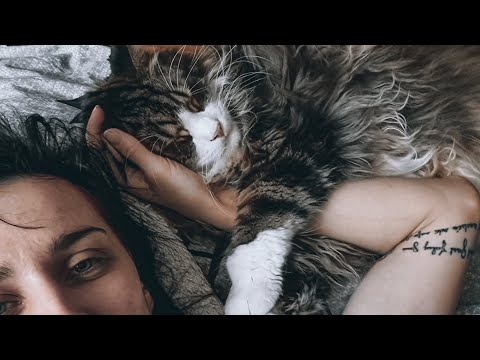 Ranní rutina se zvířaty